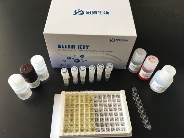 毕业季大促销 试剂盒五折起售