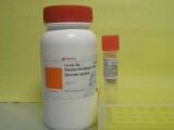 1280602-81-4价格erythro-1-(4-Hydroxy-3-methoxyphenyl)propane-1