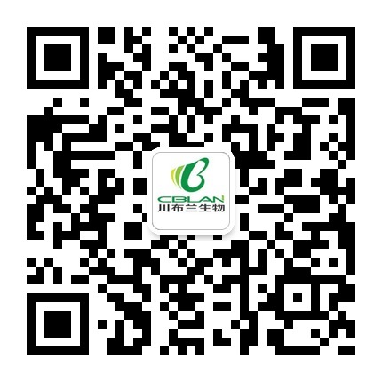 北京24中学中韩教育文化交流活动 北京24中学中韩教育文化交流活动