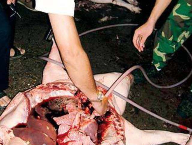 注水肉的五大危害注水肉检测仪