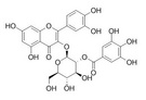 2”-O-没食子酰基金丝桃苷 53209-27-1