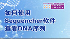 如何使用Sequencher软件查看DNA序列