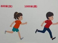 《北京市義務教育體育與健康考核評價方案》發布：考試范圍包括素質、運動能力四大類別的22項內容