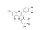 槲皮素-3-O-β-D-木糖甙 549-32-6
