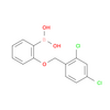 1256355-69-7 | 2-(2,4-二氯苄氧基)苯硼酸