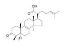 β-榄香酮酸，β-demonic acid，β-岚香酮酸