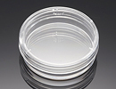 351029 细菌学巴氏培养皿100×15mm