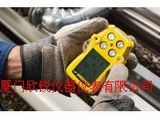 QT-XW00加拿大BW四合一气体检测仪QT-XW00
