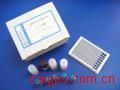 (T4)犬甲状腺素Elisa试剂盒