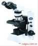 奧林巴斯顯微鏡CX31