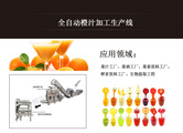 橙汁生產線設備 橙子剝皮榨汁機 橙子提取精油設備