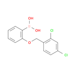 1256355-69-7 | 2-(2,4-二氯苄氧基)苯硼酸