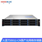 火蓝（Hoodblue）TS5012-CN国产化NAS网络存储器文件共享数据备份磁盘阵列服务器 TS5012-CN-24TB