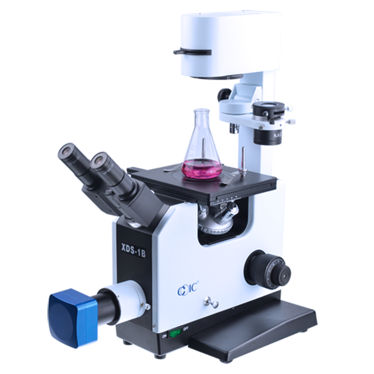 重庆光电 倒置生物显微镜 XDS－1B 经典款