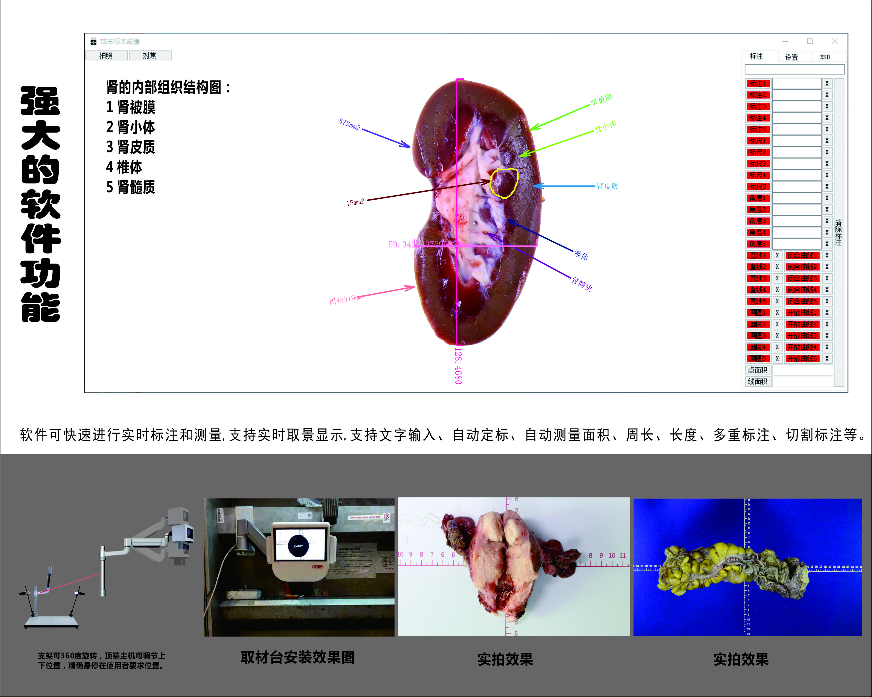 法医尸检解剖拍照工作台FS-8A