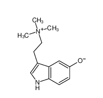 Bufotenidine 487-91-2