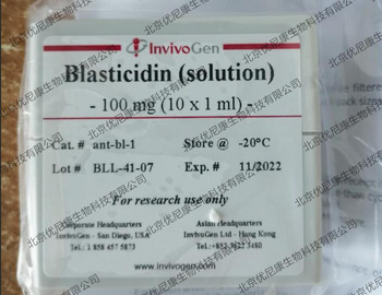 Invivogen Blasticidin (solution)ant-bl-1