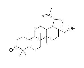 Betulone 7020-34-0