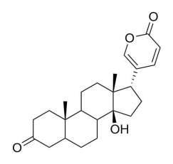 3-羰基蟾毒灵 3-oxo-bufalin