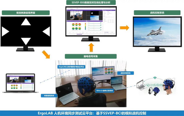 ErgoAI高采样脑机接口装置