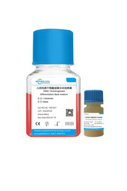 上海埃澤思AC-1001027人間充質干細胞成骨分化試劑盒染色效果好發貨及時