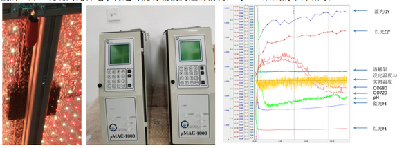 易科泰ET-PSI藻类培养监测系统在高校运行