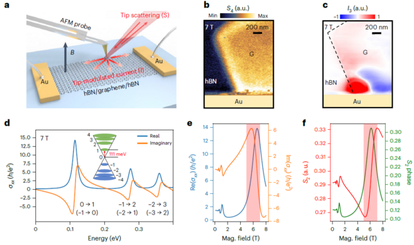 Nature Nanotech：石墨烯中狄拉克磁激子的低温强磁场扫描近场光学成像！