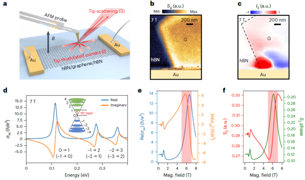 Nature Nanotech：石墨烯中狄拉克磁激子的低溫強磁場掃描近場光學成像！