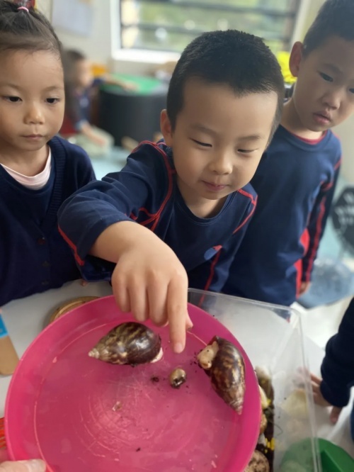 上海國際學校都是怎么上課的？上海耀中YCIS“玩中學”開啟新學習場景