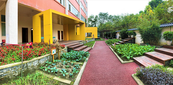 成都市金牛區貫徹公園城市理念規劃建設高品質校園