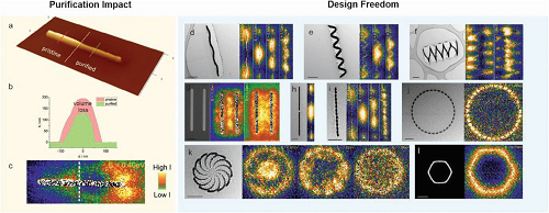 多功能显微镜助力一篇AFM！3D纳米几何结构新突破