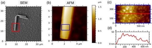 低温刻蚀引领硅纳米线制备新突破，AFM/SEM二合一显微镜原位揭秘极高深宽比纳米结构！