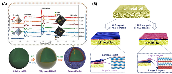 原子層/分子層沉積技術助力新一代高性能儲能器件研究