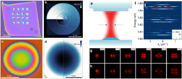 ETH Zurich Norris教授课题组：3D纳米直写技术助力任意形貌六方氮化硼（hBN）纳米3D结构的制备