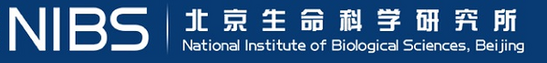 全新高通量光片显微镜，帮您实现活细胞长时间多样品高分辨成像！