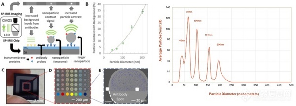 外泌体粒径分析该选谁？不同外泌体粒径分析技术间的比较
