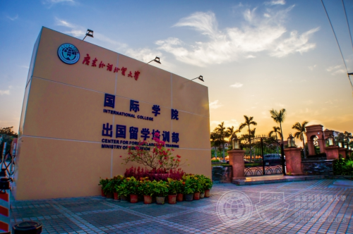 廣外升學路徑多，入讀名校沒煩惱