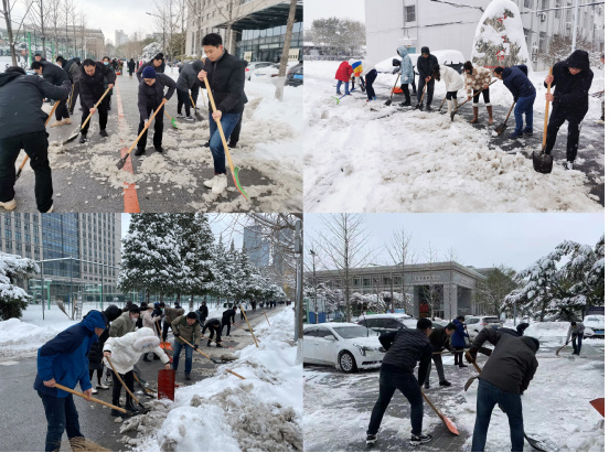 东北大学组织全校师生清扫校园积雪