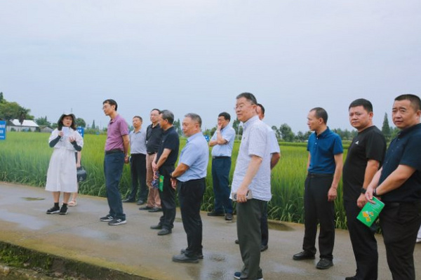 省政府參事到四川農業大學耕地安全利用關鍵技術研發與示范基地調研指導
