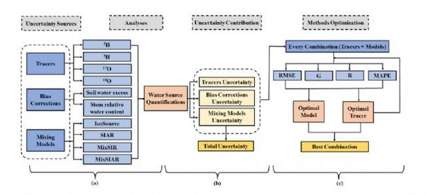 如何利用同位素技术解析植物水分来源的不确定性