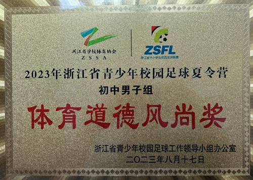 蒼南領軍，溫州市初中男子組在省足球夏令營活動中喜獲佳績