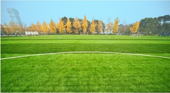 福地体育工程倡导绿色环保人造草坪