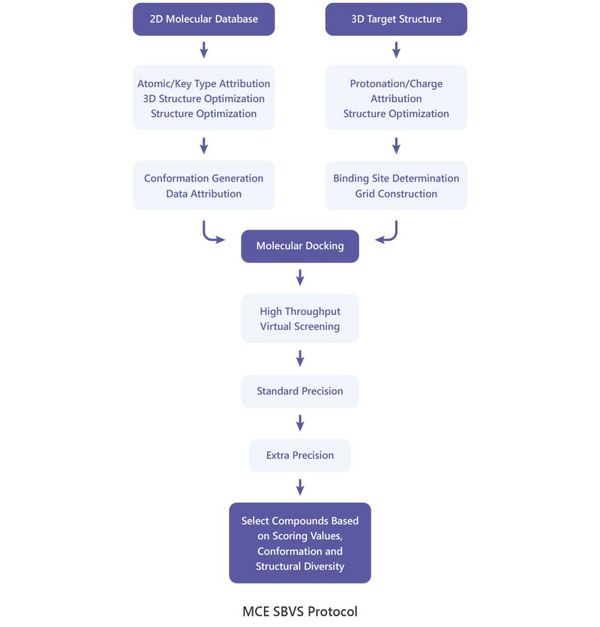 MCE 虚拟筛选 | MedChemExpress