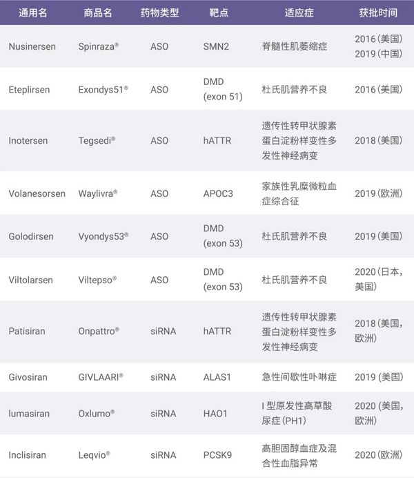 小核酸藥物，能否成為罕見病治療的新曙光？| MedChemExpress