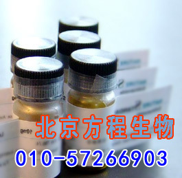 方程生物试剂图片 (6).jpg 人连环蛋白β1(CTNNβ1)检测/(ELISA)kit试剂盒/免费检测