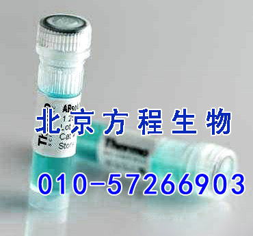 方程生物试剂图片 (4).jpg 人粒细胞趋化蛋白2(GCP2)检测/(ELISA)kit试剂盒/免费检测
