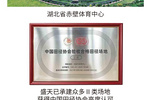 把服務前置，盛天體育憑專業知識“圈粉”