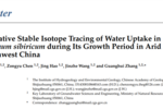 戟叶鹅绒藤生长期水分吸收的稳定同位素定量示踪