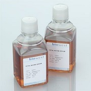"Hyclone胎牛血清( 产地:国内分装货号:sv30087.02)"