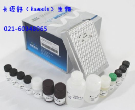 大鼠E钙粘蛋白(E-cad)ELISA试剂盒